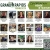 Celebrating Women in Tourism