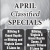 April Classified Specials