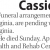 Cassidy J. Mattson