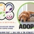 Adoption Event