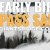 Early Bird Pass Sale