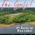 For Sale! 4+ Acres on Rice Lake!