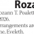 Rozann T. Poaletti