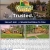 Local. Trusted. Proven