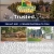 Real Estate Services