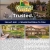 Real Estate Services