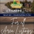 Real Estate Services