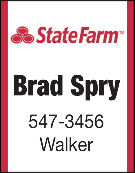 State Farm: Brad Spry
