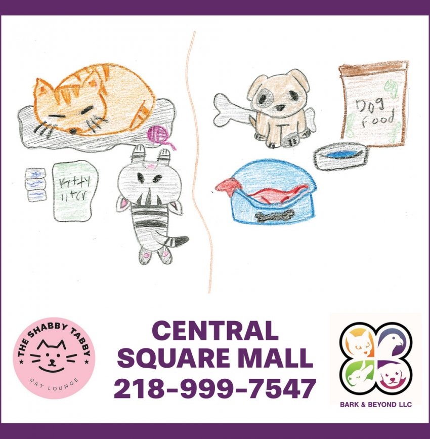 Bark & Beyond LLC - The Shabby Tabby