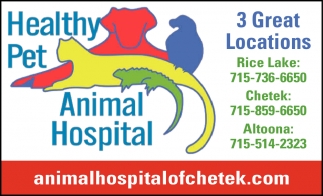Animal Hospital, Healthy Pet Animal Hospital - Chetek / Altoona / Rice  Lake, Altoona, WI