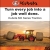 Power Equipment
