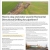 How Is Clay and Water Used in Horizontal Directional Drilling for Pipelines?
