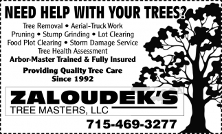 Need Help With Your Trees?