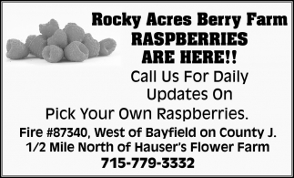Raspberries are here!
