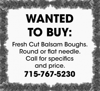 Wanted To Buy Fresh Cut Balsam Boughs
