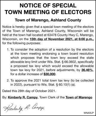 Notice of Special Town Meeting of Electors