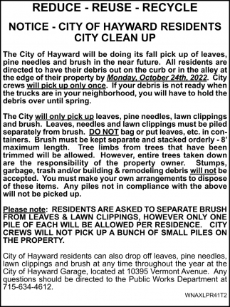 City Clean Up