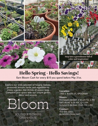 Bloom Boutique Flowers Greenhouse Gifts