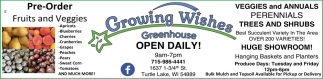 Growing Wishes Greenhouse
