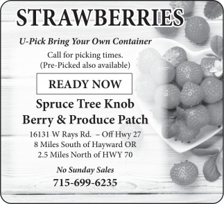 Spruce Tree Knob Berry & Produce Patch