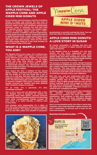 Wapple Co