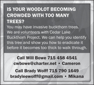 Cedar Lake Buckthorn Project
