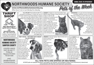 Northwoods Humane Society