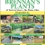 Landscaping - Fences - Water Features and More Services!