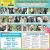 20 Adoptable Dogs