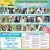 20 Adoptable Dogs