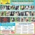 19 Adoptable Dogs