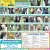 27 Adoptable Dogs