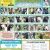 27 Adoptable Dogs