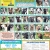 28 Adoptable Dogs