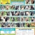 30 Adoptable Dogs