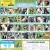 31 Adoptable Dogs