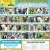 28 Adoptable Dogs