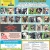 22 Adoptable Dogs