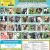 22 Adoptable Dogs