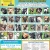 28 Adoptable Dogs