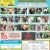 23 Adoptable Dogs