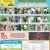 21 Adoptable Dogs