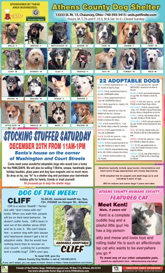 Friends Of The Shelter Dogs