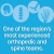 Most Experienced Orthopedic And Spine Teams.