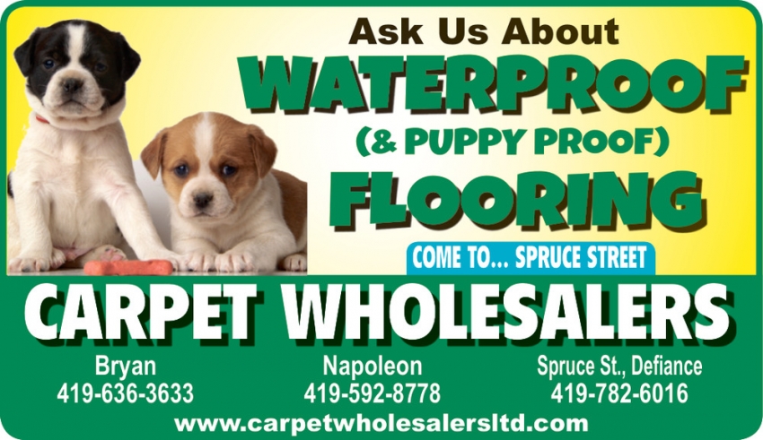 Ask Us Aboute Waterproof ( & Puupy Proof) Flooring