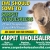 Ewe Should Come to Carpet Wholesalers