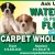 Carpet Wholesalers