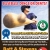 Collision Specialists