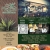 The Best Mexican Restaurant in Town!