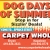 Dog Days of Summer